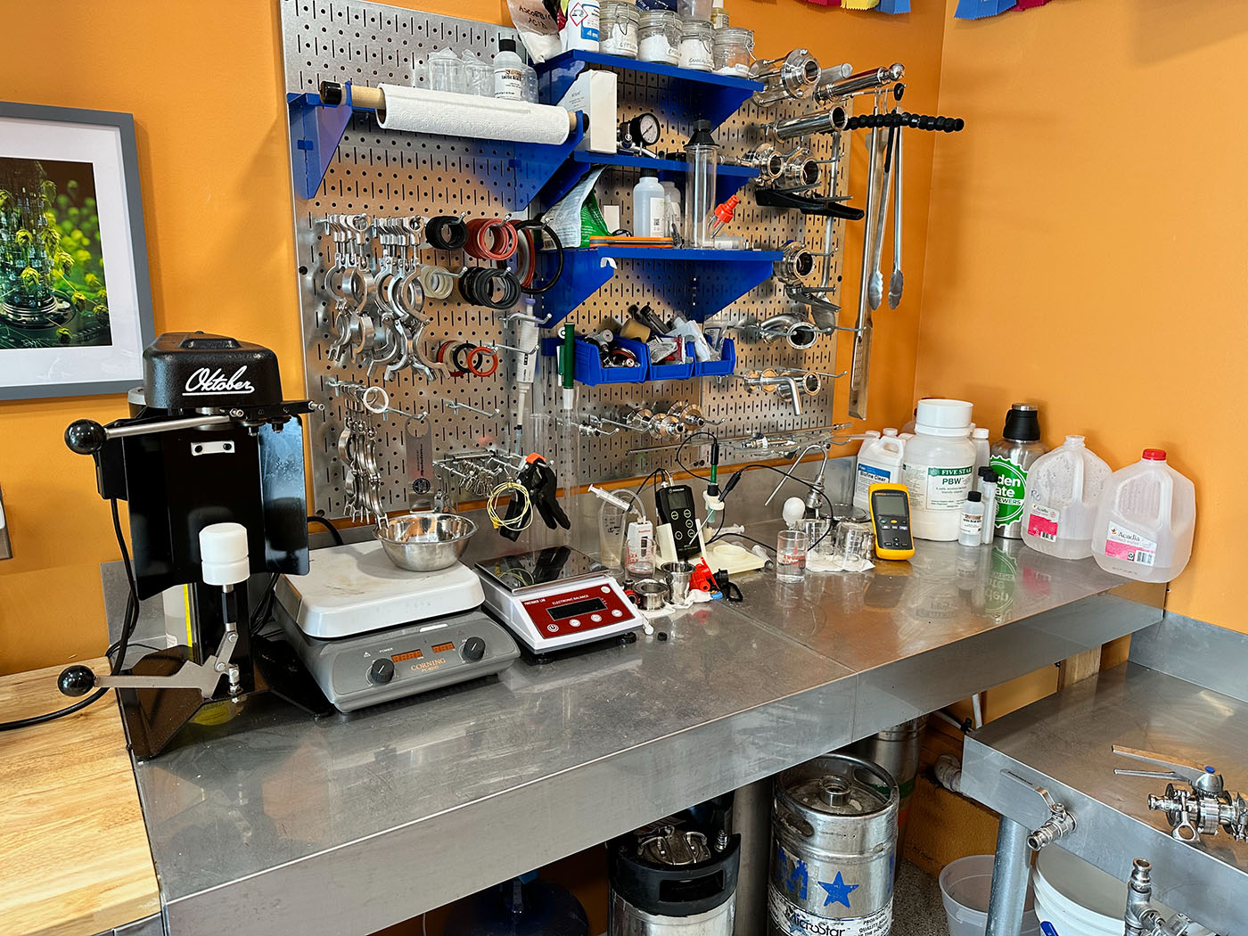 Homebrewing and beer event photo